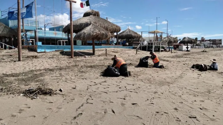 Exhorta la Zofemat a respetar a las playas de Peñasco