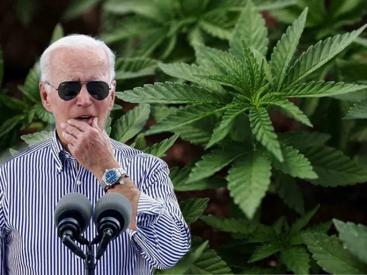 Biden anuncia indulto por posesión de mariguana; da primer paso a legalización