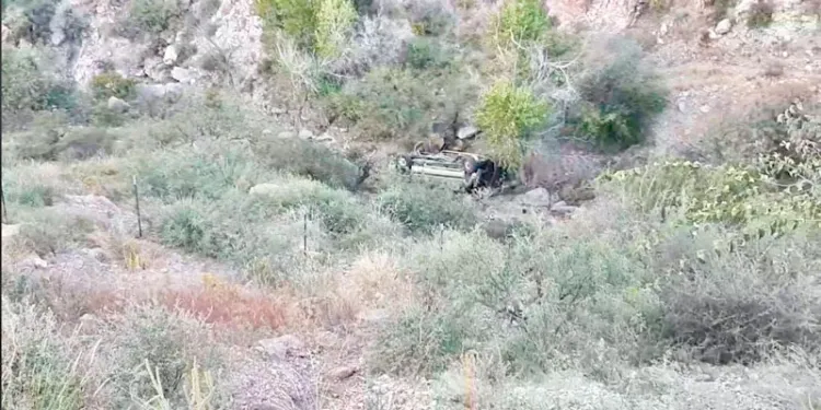 Cae conductora a profundo barranco