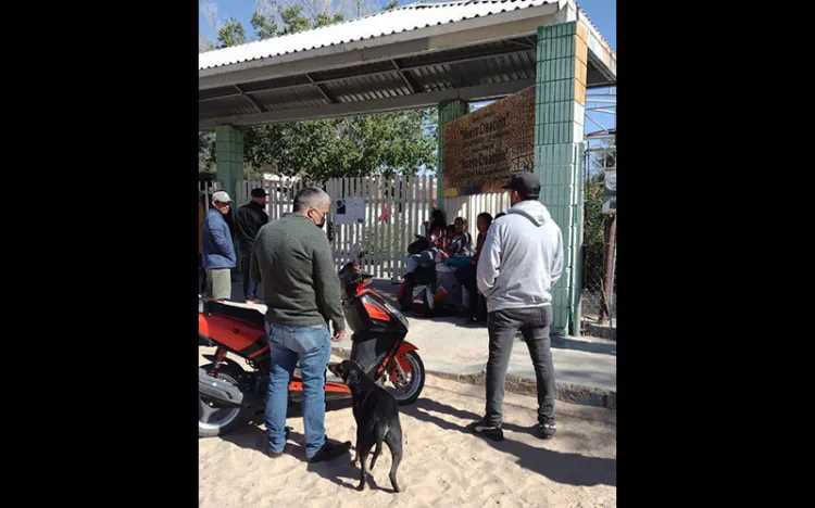 Multarán por llevar mascotas a la escuela