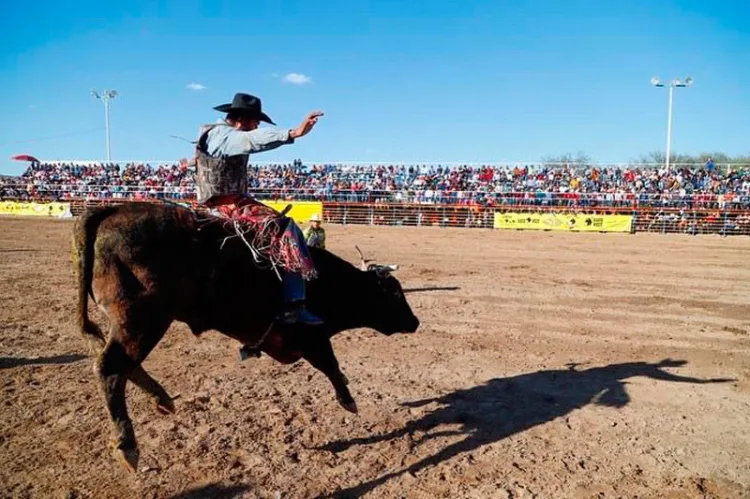 Celebran segunda etapa del Circuito de Rodeo 2022