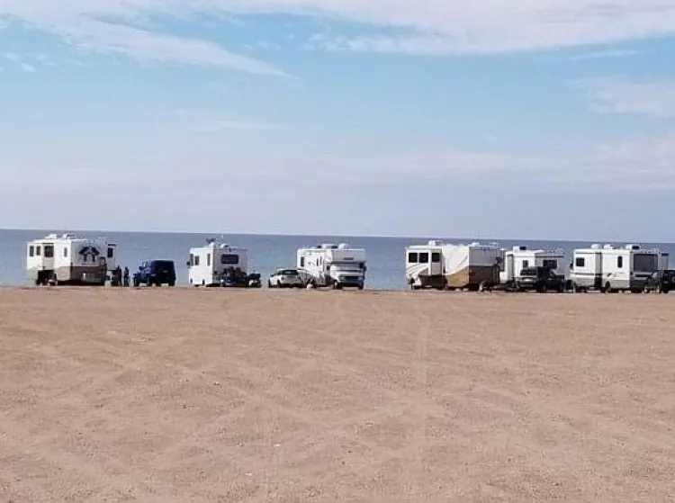 “Pájaros de la nieve” atraen a nuevos visitantes que se refugian en Arizona