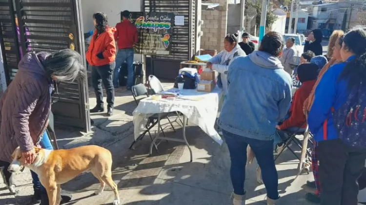 Buscan alcanzar meta de esterilizaciones de mascotas