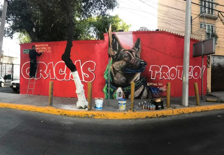 Pintan mural en honor a Proteo, perro rescatista que murió en Turquía