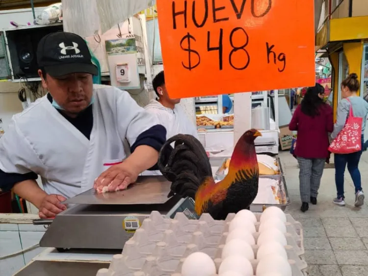 Inflación de México baja a 7.76% en primera quincena de febrero
