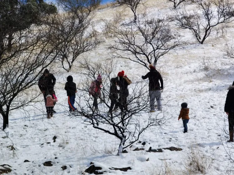 Disfrutan nogalenses de la fría blancura