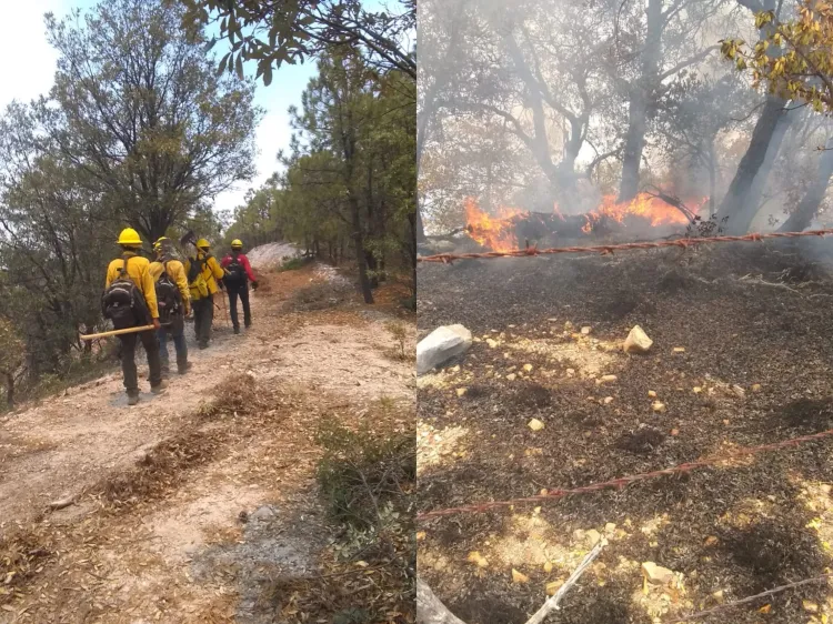 Buscan prevenir incendios forestales