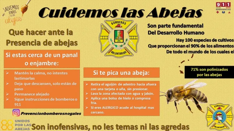 Genera presencia de abejas alza en llamadas de auxilio