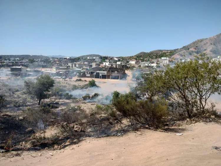Incendios forestales son provocados: Gilberto Saavedra