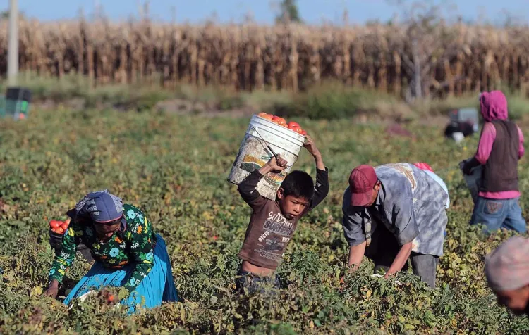 Pobreza extrema se concentra en el campo de México: Cepal