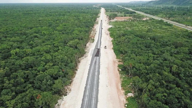 Tramo 6 del Tren Maya lleva más del 60% de rescate arqueológico