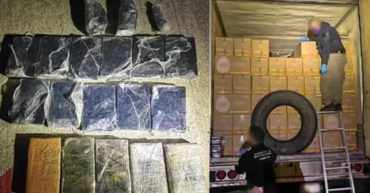 Aseguran 16 kilos de fentanilo escondido en cajas de huevo