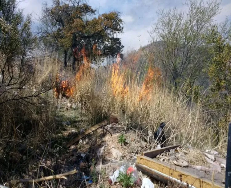 Aumentan incendios de maleza