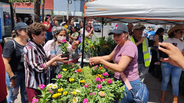 Celebran Día del Medio Ambiente con donación de plantas