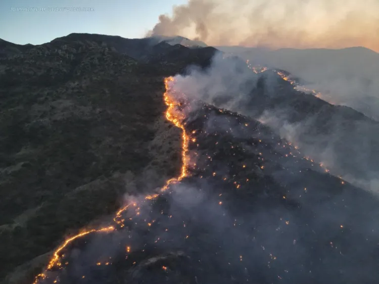 Atienden incendio forestal en Ímuris