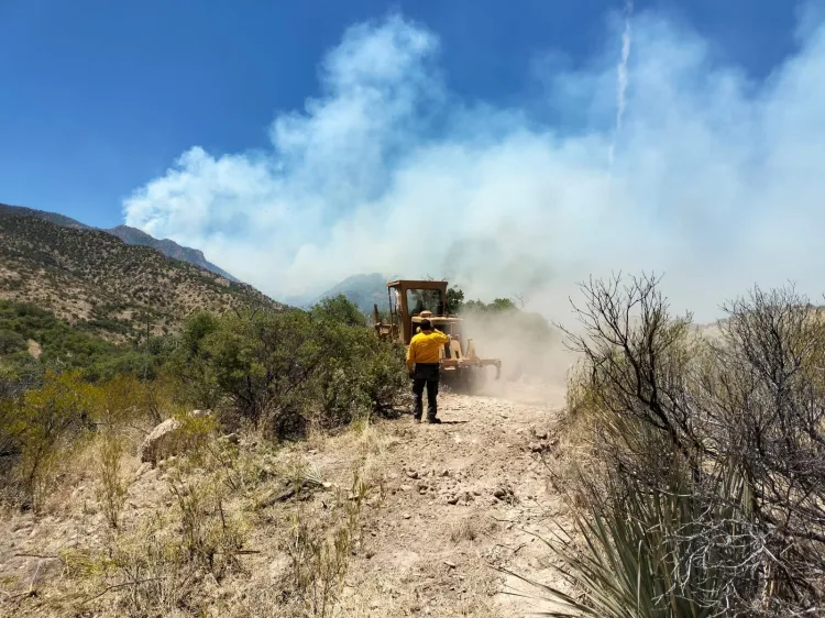Controlado en un 50 por ciento incendio forestal de Ímuris: PC Sonora