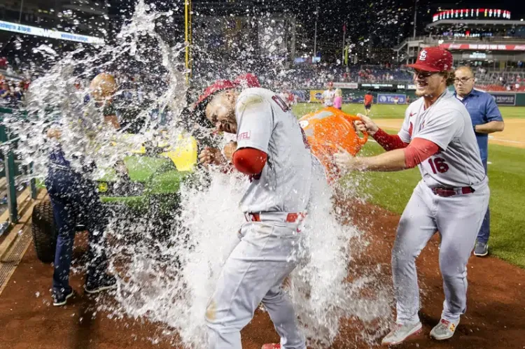 Paliza de los Cardenales