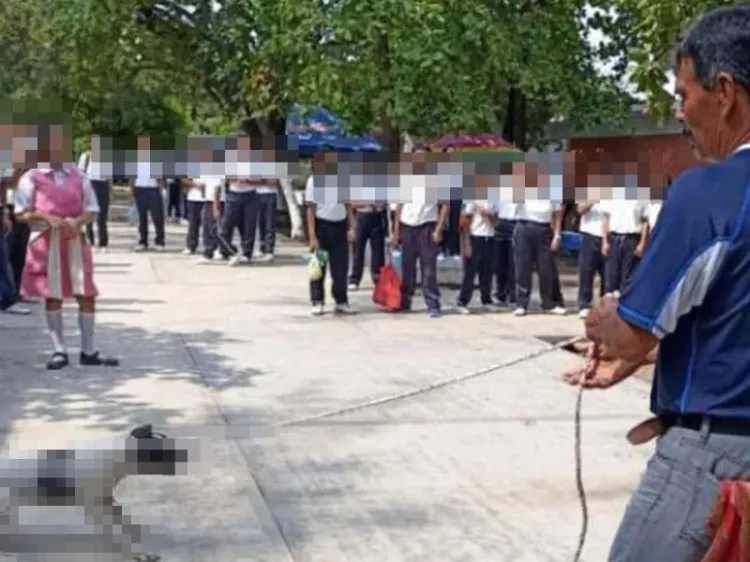 Director de escuela arrastra a perrita y tira sus cachorros a la basura