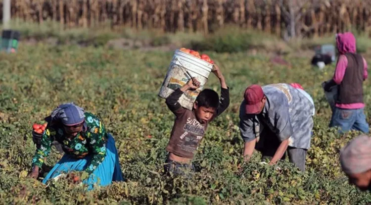 Aumenta trabajo infantil en México