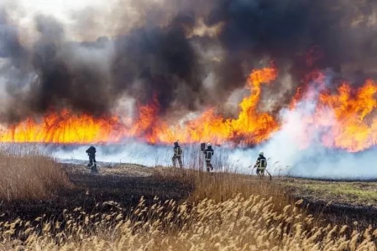 Rompen récord incendios forestales