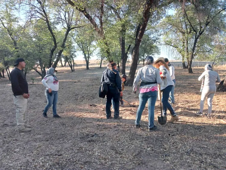 Localizan tres fosas con restos humanos en Nogales