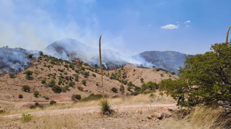 Incendio consume más de 2 mil hectáreas en Cerro del Pino