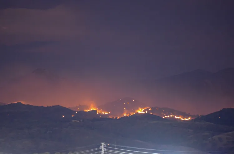 Sofocan incendio forestal al sur-oriente de Nogales