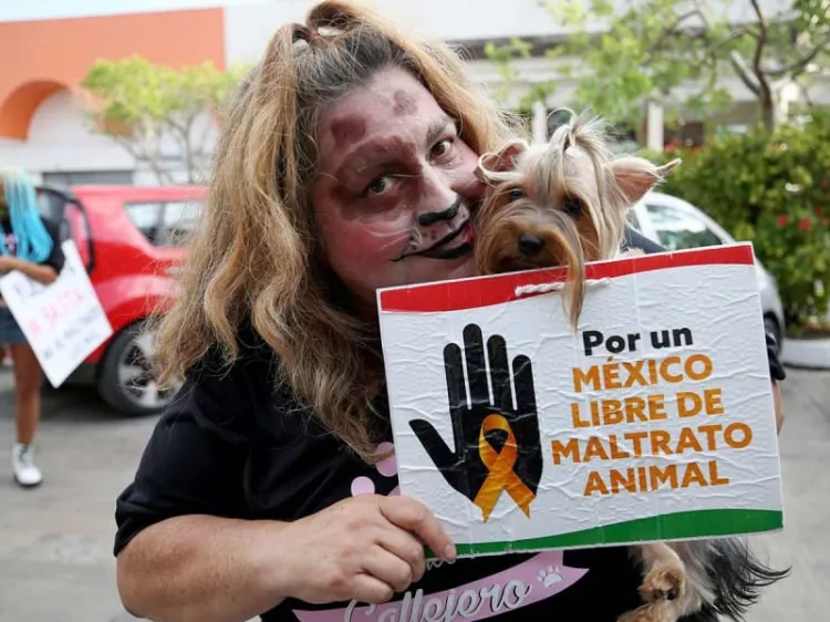 Buscará AMLO día dedicado al trato humano y justo para los animales