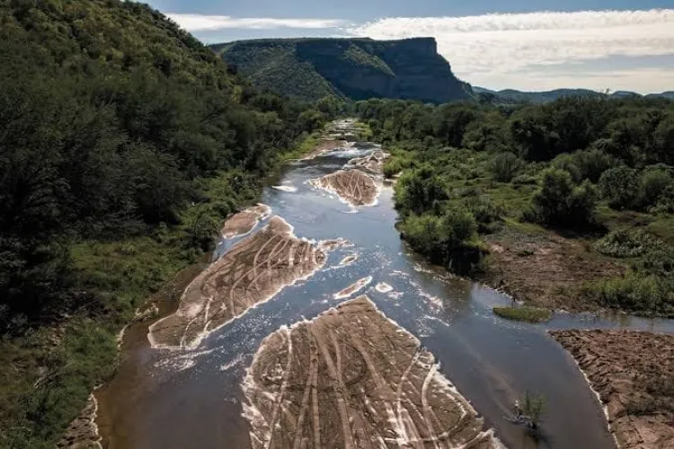 Continúan daños por derrame de tóxicos en el Río Sonora