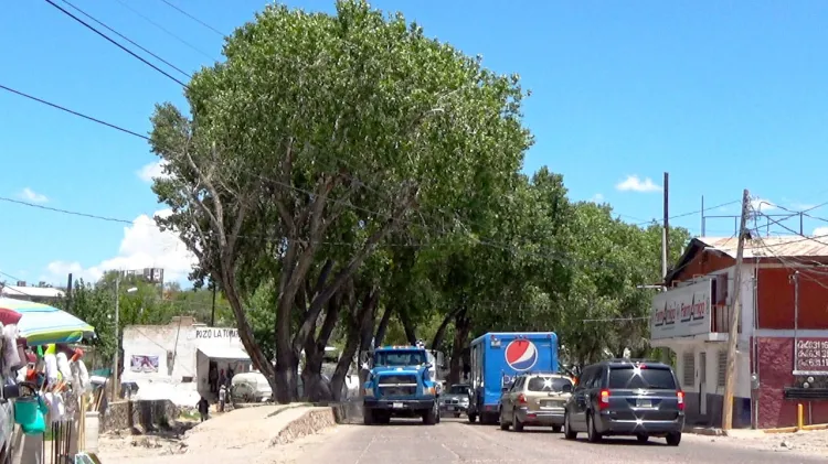 Apuestan al equilibrio ecológico en proyectos de infraestructura