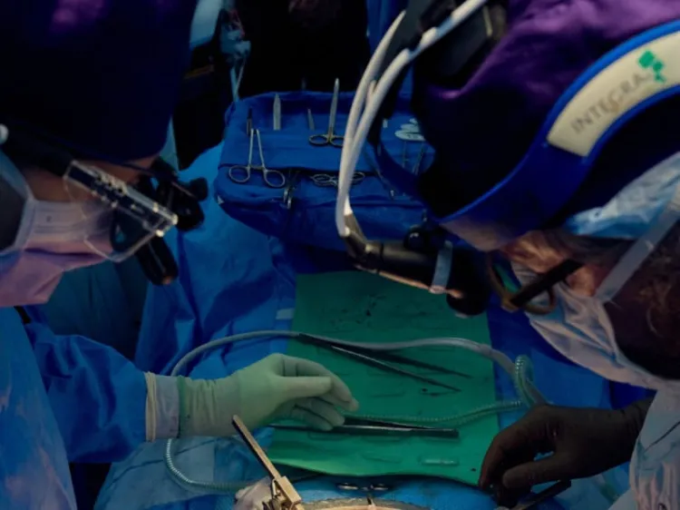 Logran con éxito trasplantar el riñón de un cerdo en un cuerpo humano
