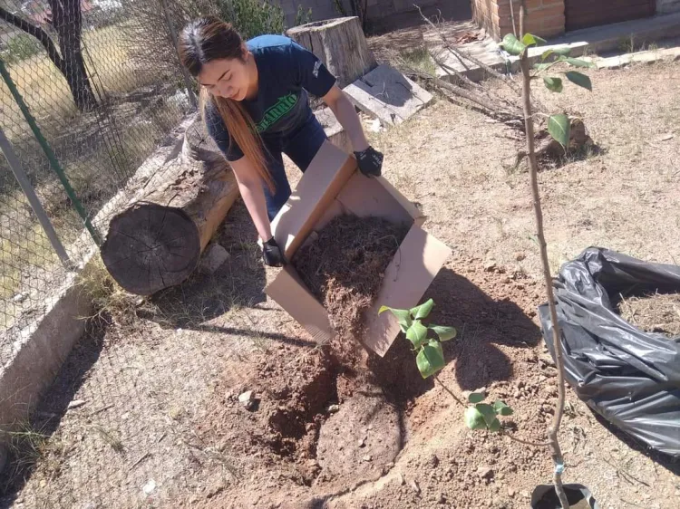 Aplican jóvenes reforestación en las instalaciones del Asilo