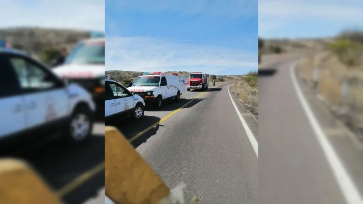 Choca contra vaca en camino a Mascareñas