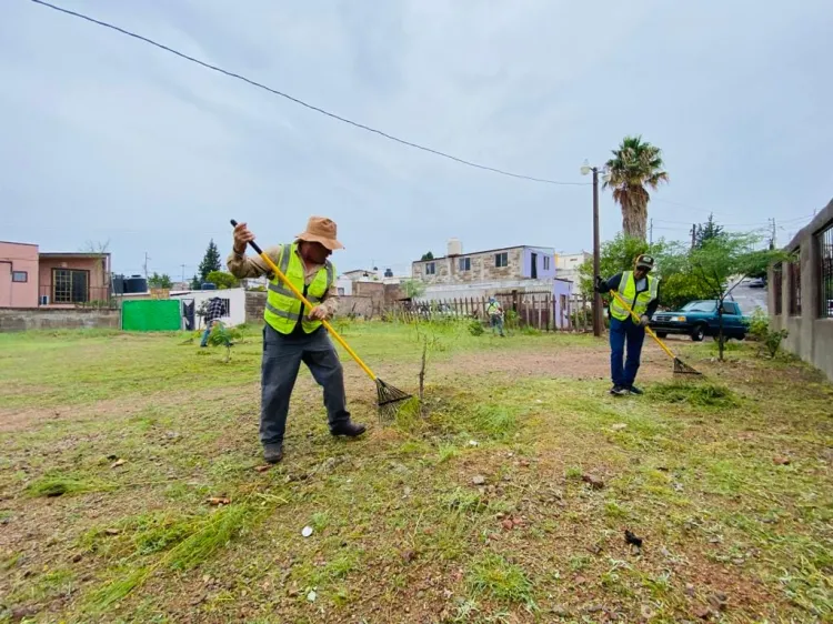 Intensifican las jornadas de limpieza en espacios públicos