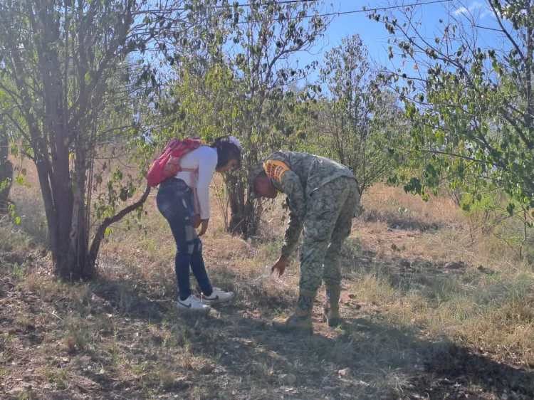 Finaliza campaña de reforestación de la Sedena