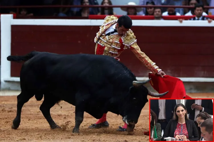 Pide diputada cárcel para quienes organicen y acudan a corridas de toros