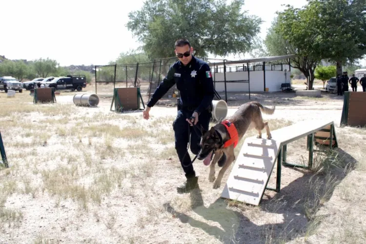 Reconocen a unidades K-9 en el Día Nacional del Binomio Canino en México