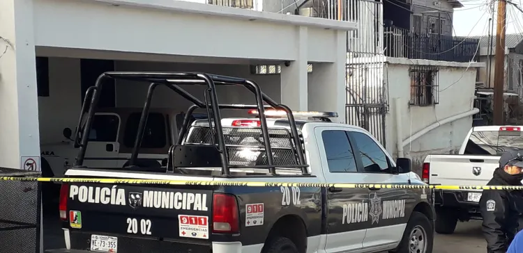 Asesinan a perro en la Colosio