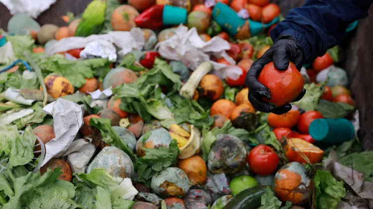 Trabajan en el rescate del desperdicio de alimentos