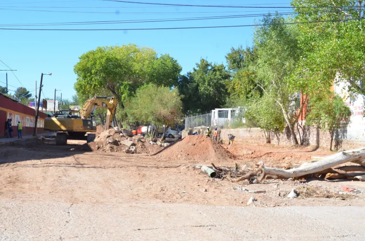 Inician proceso de remoción de 28 árboles en la avenida Tecnológico