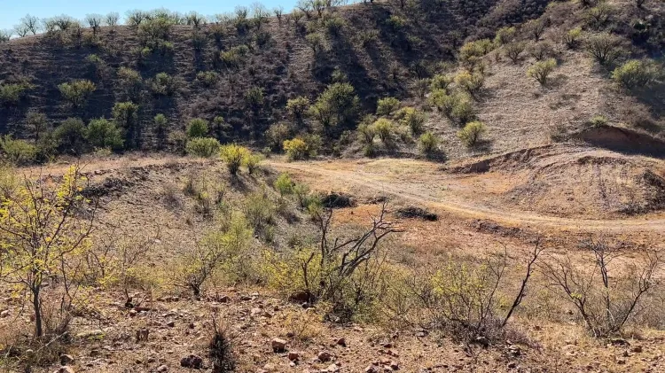 Planean centro y actividades deportivas en terrenos apaches