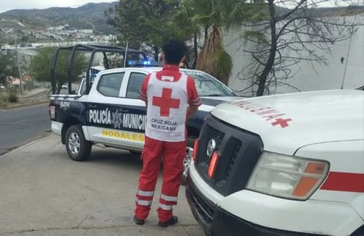 Muerde can a menor en Las Acacias