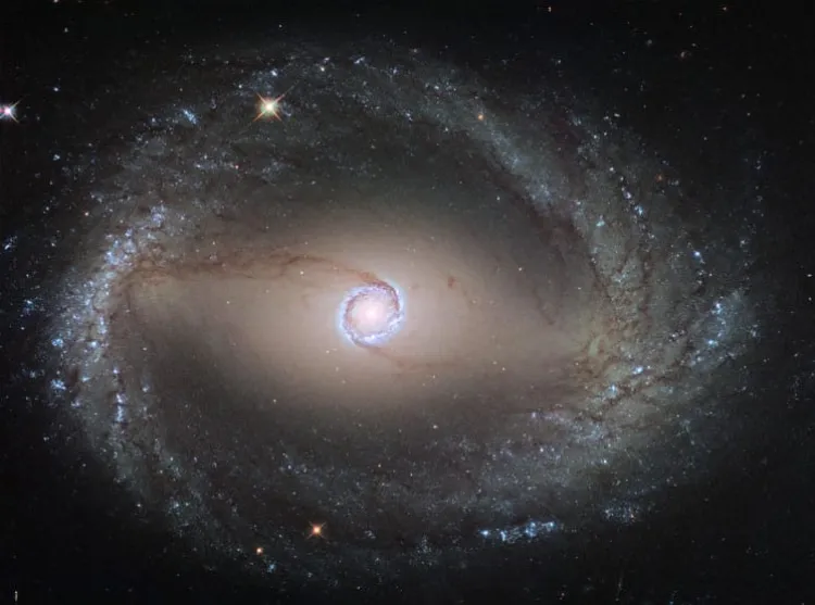 Telescopio James Webb capta 19 galaxias