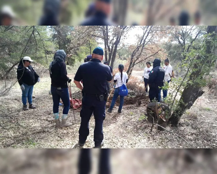 Encuentran restos óseos Madres Buscadoras de Nogales
