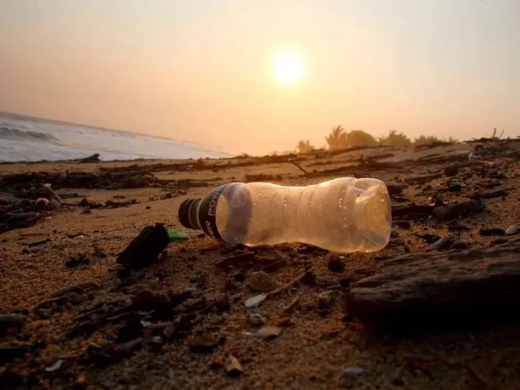 Busca Greenpeace México firmas para que ley contra plásticos sea más estricta