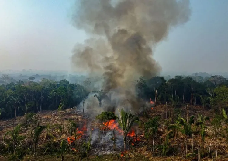 Arde la Amazonia; más de 3 mil incendios marcan récord en febrero