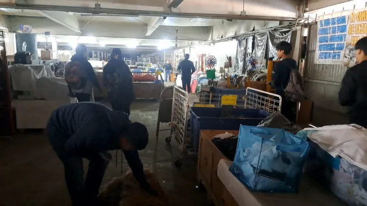 Realizan Bazar en beneficios de animalitos callejeros