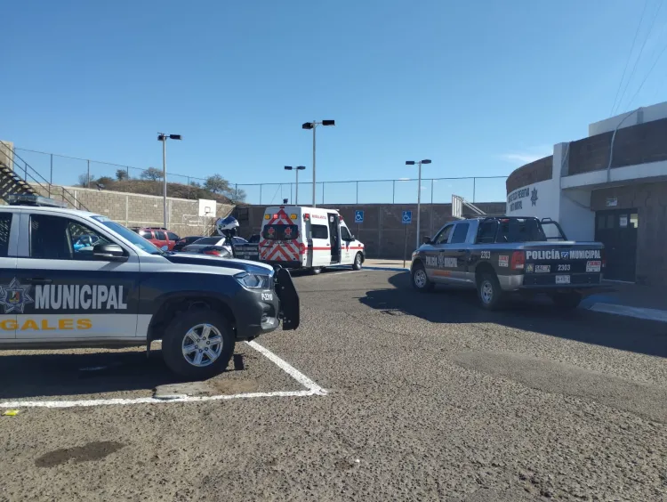 Atropellan a mujer de 94 años en Nogales